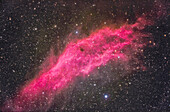 This is the California Nebula,aka NGC 1499,in Perseus near the star Menkib,or Xi Persei,at bottom. While this is primarly an emission nebula,there is dust in the periphery forming some faint reflection nebulosity. The main nebula emits strongly in not only the red H-Alpha wavelength but also the blue-green H-Beta wavelength,thus the pink or magenta colour.