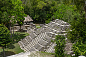 Struktur 144, eine Tempelpyramide in der nördlichen Akropolis in den Maya-Ruinen im Yaxha-Nakun-Naranjo-Nationalpark, Guatemala.