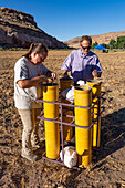 Technicians examine an 8" pyrotechnic shell being prepared for a fireworks show in a field in Utah.