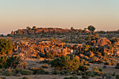 Mashatu Game Reserve,Botswana.