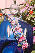 Motorroller mit Blumenschmuck Hortensie