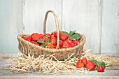 Erdbeeren im Erntekorb
