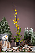 Orchidee mit Weihnachtsdeko