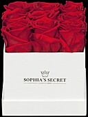 Sophia’s Secret® - Rosenbox