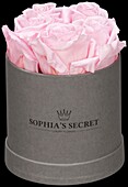 Sophia’s Secret® - Rosenbox - Hutschachtel