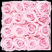 Sophias Secret® - Rose box