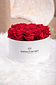 Sophias Secret® - Rose Box