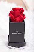 Sophias Secret® - Rose Box