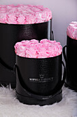 Sophias Secret® - Rose Box