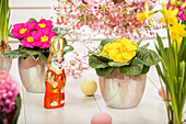 Primroses with Easter Bunny