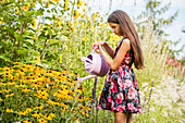 Watering plants