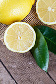 Citrus limon