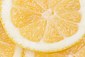 Citrus limon