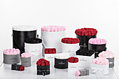 Sophias Secret® - Rose boxes