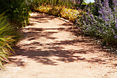 Paths in the garden