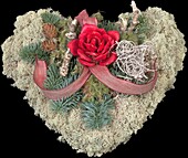 Moss heart with pine rose
