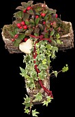 Bark cross with gaultheria and ivy