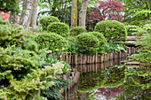 Formed shrubs by the water