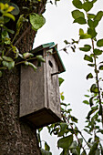 Birdhouse