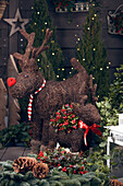 Reindeer Decoration Gaultheria
