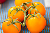 Solanum lycopersicum 'Beorange'