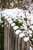 Winter garden fence