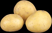 Potatoes