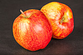 Apfel 'Jonagored'