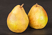 Pear 'Vereinsdechant