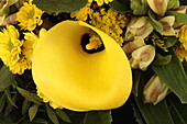 Yellow bouquet Lilies, calla lilies