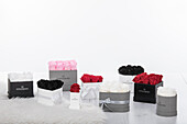 Sophias Secret® - Rose boxes
