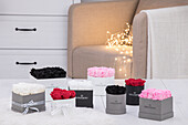 Sophias Secret® - Rose boxes