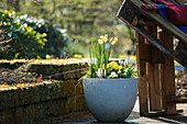 Tub planting