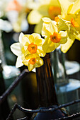 Decoration with daffodils