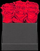 Sophia's Secret Rose Box
