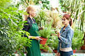 Garden centre sales assistant and customer