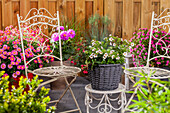 Terrace with colourful potted plants