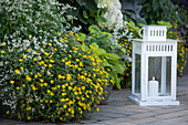 Lanterns in the garden