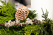 Pine cone on wreath