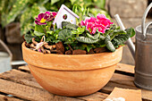 Flower bowl with primroses