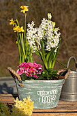 Zinc pot with spring flowers