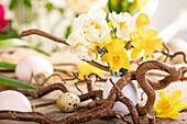 Easter ambience with daffodils