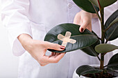 Plant doctor - plant with plaster cross