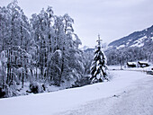 Bachlauf im Winter mit Schnee