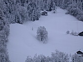 Mountain meadow in winter