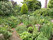 Garden ambience