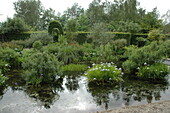 Garden view with pond