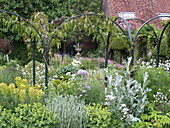 Garden design with climbing plants
