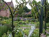 Gartengestaltung mit Kletterpflanzen