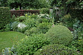 Shrub bed with topiary shrubs